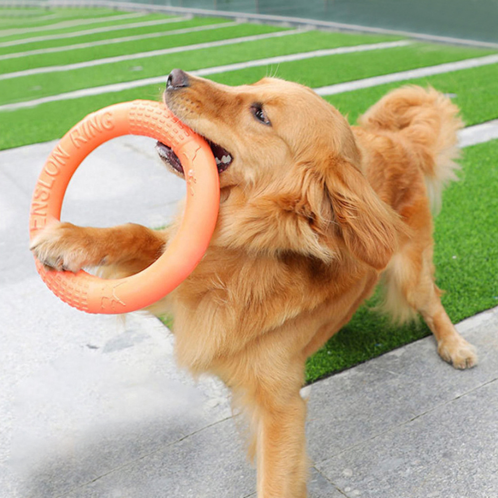 Suction Cup Dog Tug Toy - 1 adet turuncu köpek oyuncaklar Pet