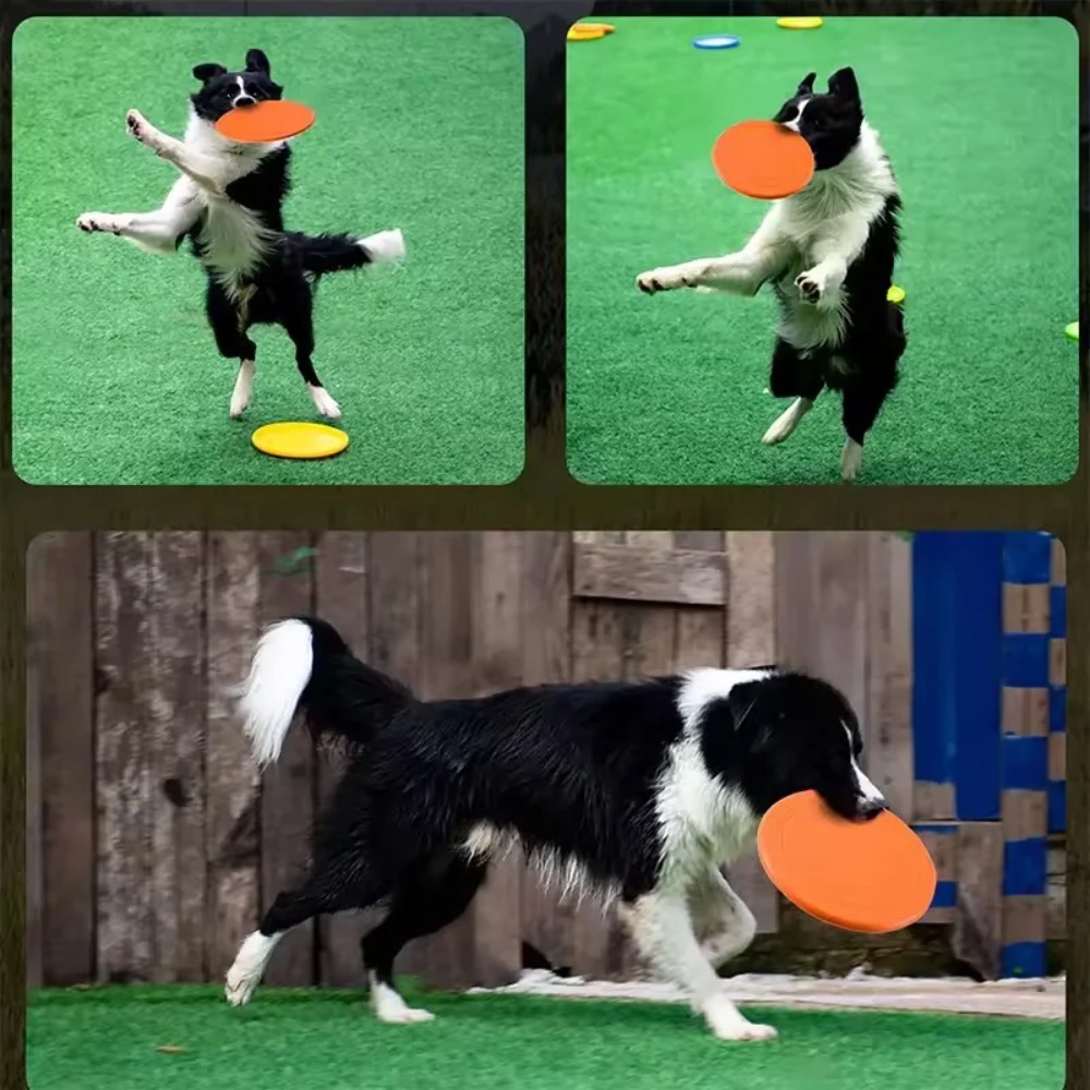 Flying Disc Dog Training Toy - Köpekler için TPR Evcil Hayvan Oyuncağı