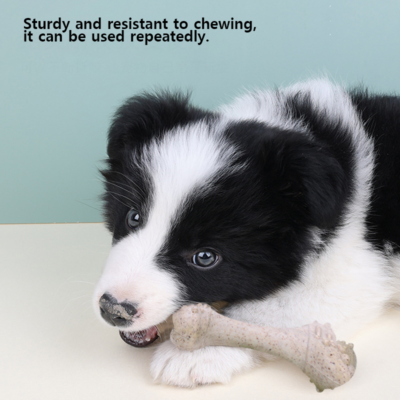 Teeth Cleaning Dog Chew Bone - 12 cm Evcil Hayvan Oyuncakları, Köpek