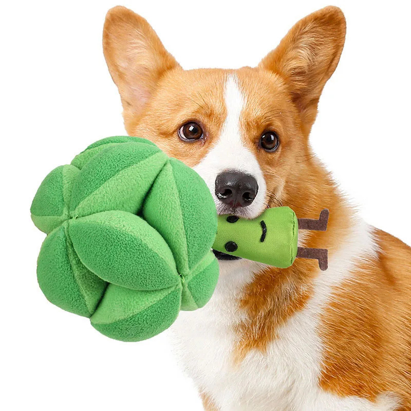 Dog Puzzle Feeder Toy - Snuffle Broccoli Köpek Bulmaca Oyuncakları IQ'yu