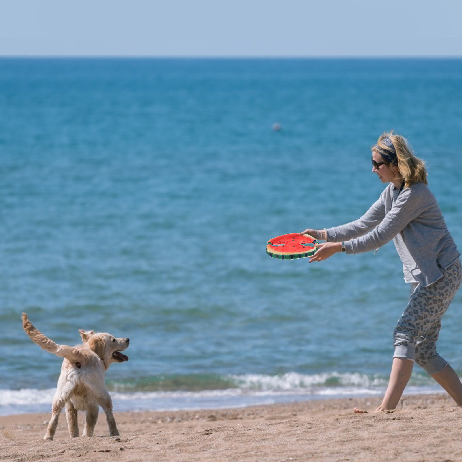 Flying Disc Dog Training Toy - 1 Adet Evcil Hayvanlar İçin Simüle