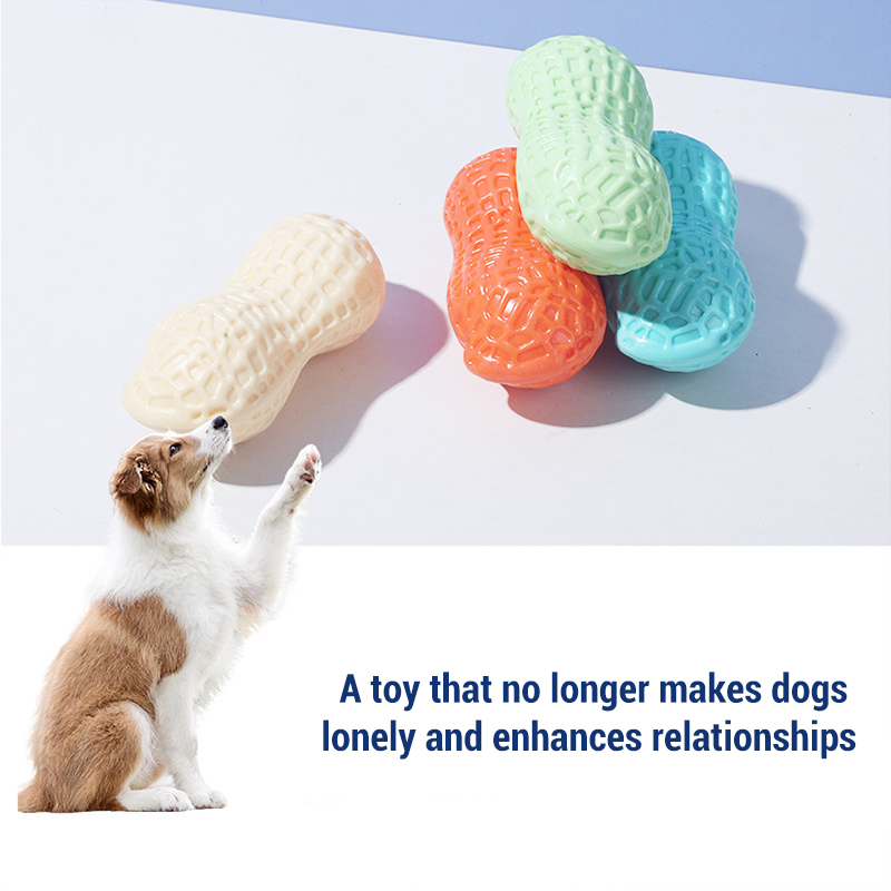 Teeth Cleaning Dog Chew Bone - Gıcırtılı Fıstık Kemik Köpek Çiğneme Oyuncakları