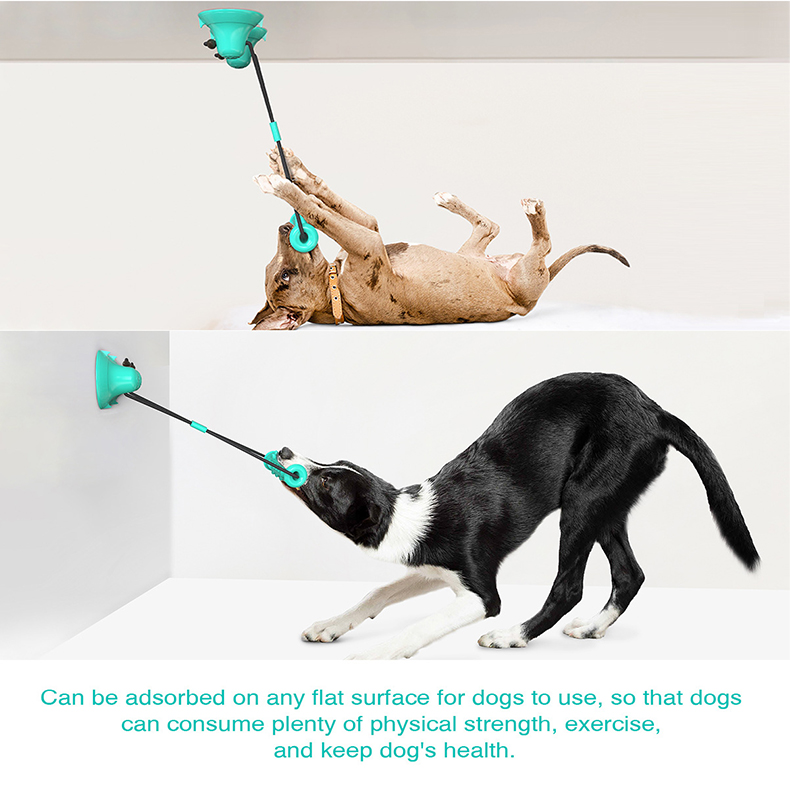 Dog Rope Toy Aggressive Chewers - Çift Vakumlu Bardaklı Köpek Çekme Oyuncağı,
