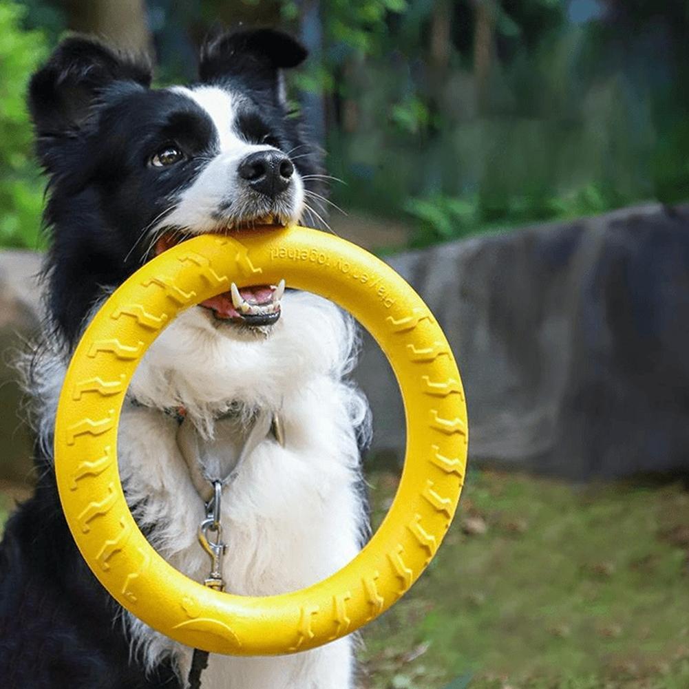 Indestructible Dog Chew Toy - Köpek Oyuncakları: Kırılmaz, Çiğneme, Uçma, Yüzme,