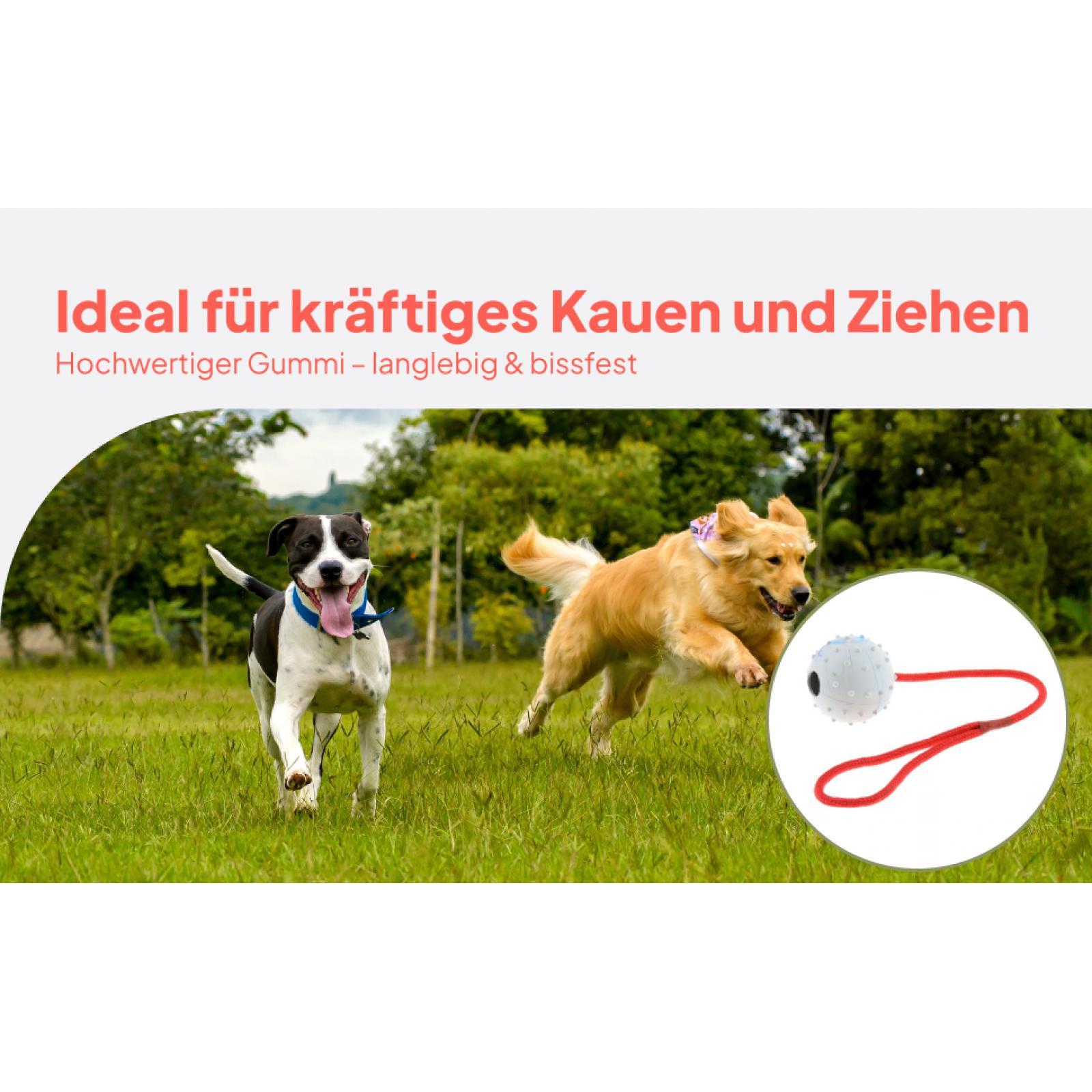 Rubber Treat Dispensing Dog Toy - Evcil Hayvan Eğitim Oyuncağı Yumuşak Kauçuk