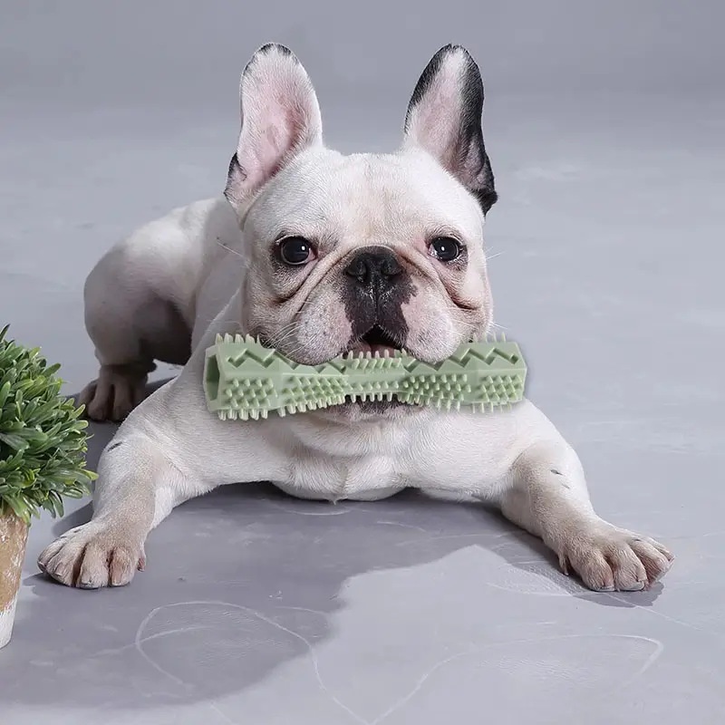 Köpek Diş Fırçası Dayanıklı Kö - Indestructible Dog Chew Toy incelemesi ve fiyatı