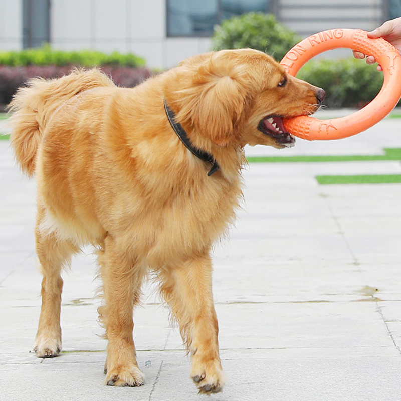 1 adet turuncu köpek oyuncakla - Suction Cup Dog Tug Toy incelemesi ve fiyatı