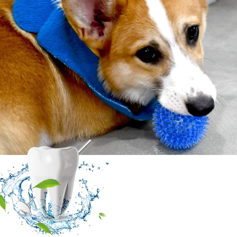 Kediler ve Köpekler için Ses Ç - Interactive Squeaky Plush Dog Toy incelemesi ve fiyatı