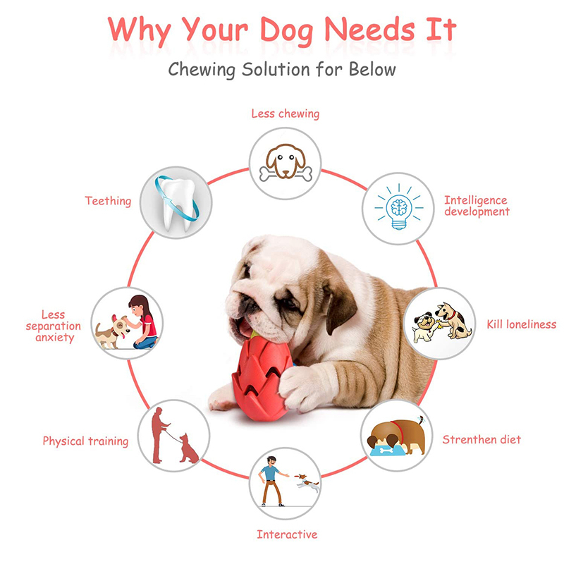 Benepaw yıkılmaz Pitaya köpek  - Indestructible Dog Chew Toy incelemesi ve fiyatı