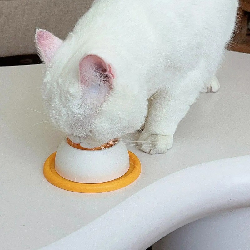 Evcil Hayvanlar İçin Yavaş Bes - Dog Puzzle Feeder Toy incelemesi ve fiyatı