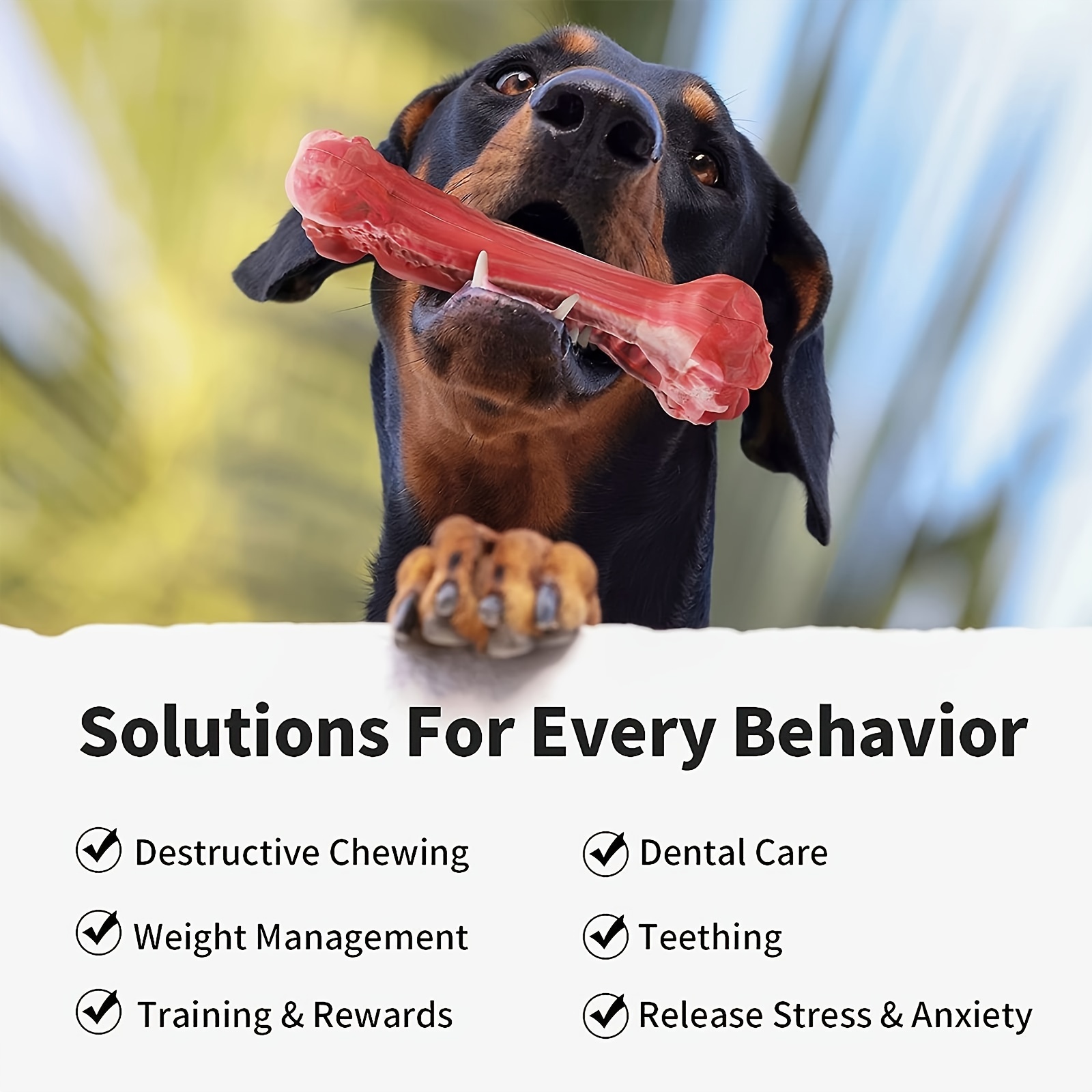 Silikon Köpek Isırma Oyuncağı, - Indestructible Dog Chew Toy incelemesi ve fiyatı