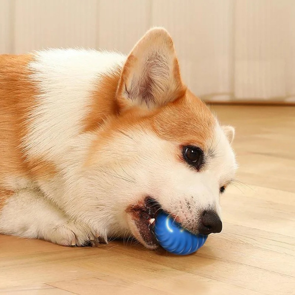 Yeni 1 adet Otomatik Hareketli - Automatic Moving Dog Ball incelemesi ve fiyatı