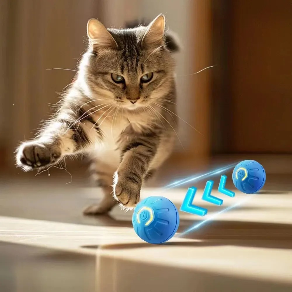 Yeni 1 adet Otomatik Hareketli - Automatic Moving Dog Ball incelemesi ve fiyatı