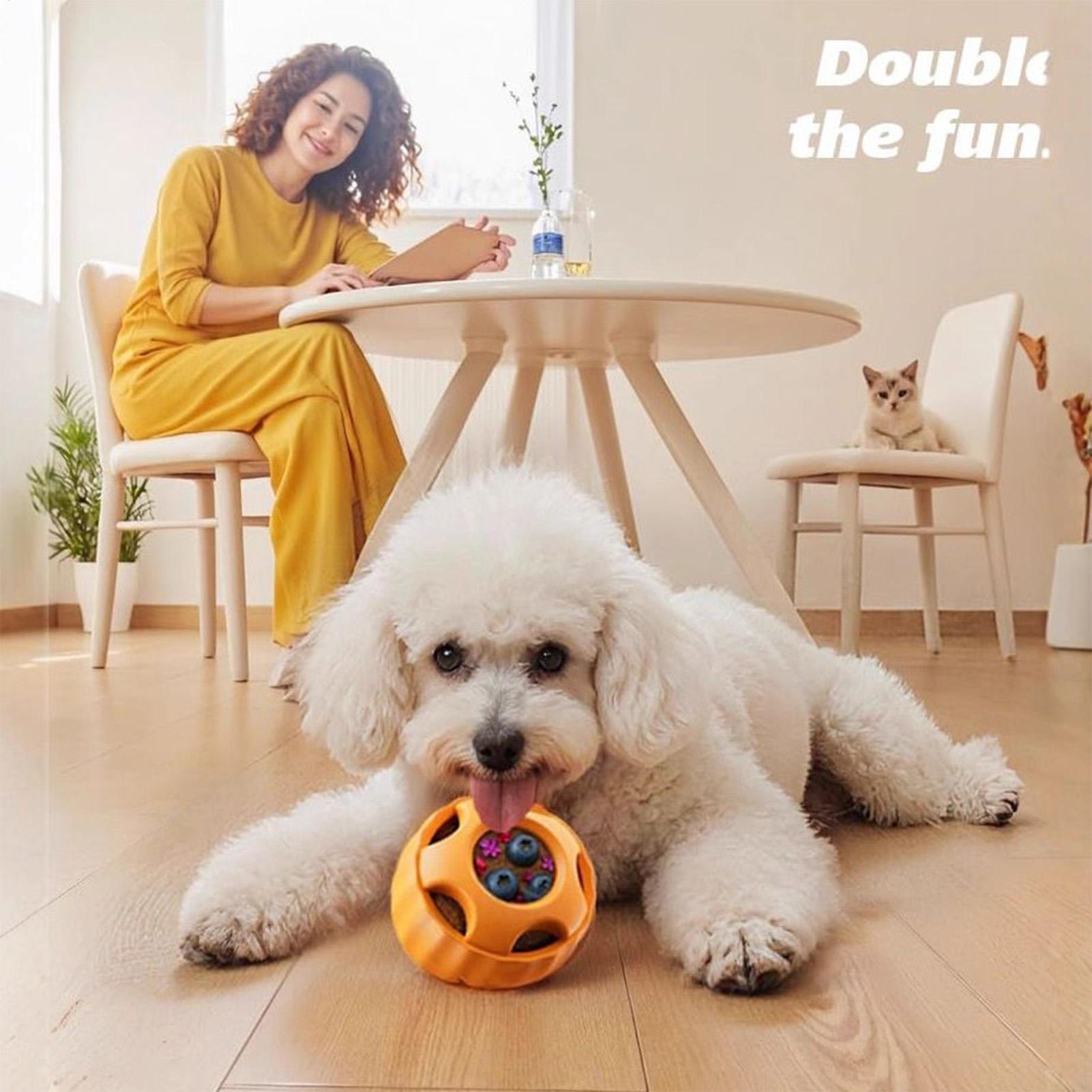 Ödül Dağıtıcı Köpek Oyuncaklar - Dog Puzzle Feeder Toy incelemesi ve fiyatı