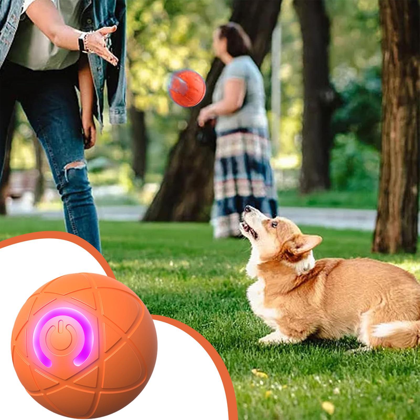 Agresif Çiğneyiciler İçin Akıl - Automatic Moving Dog Ball incelemesi ve fiyatı