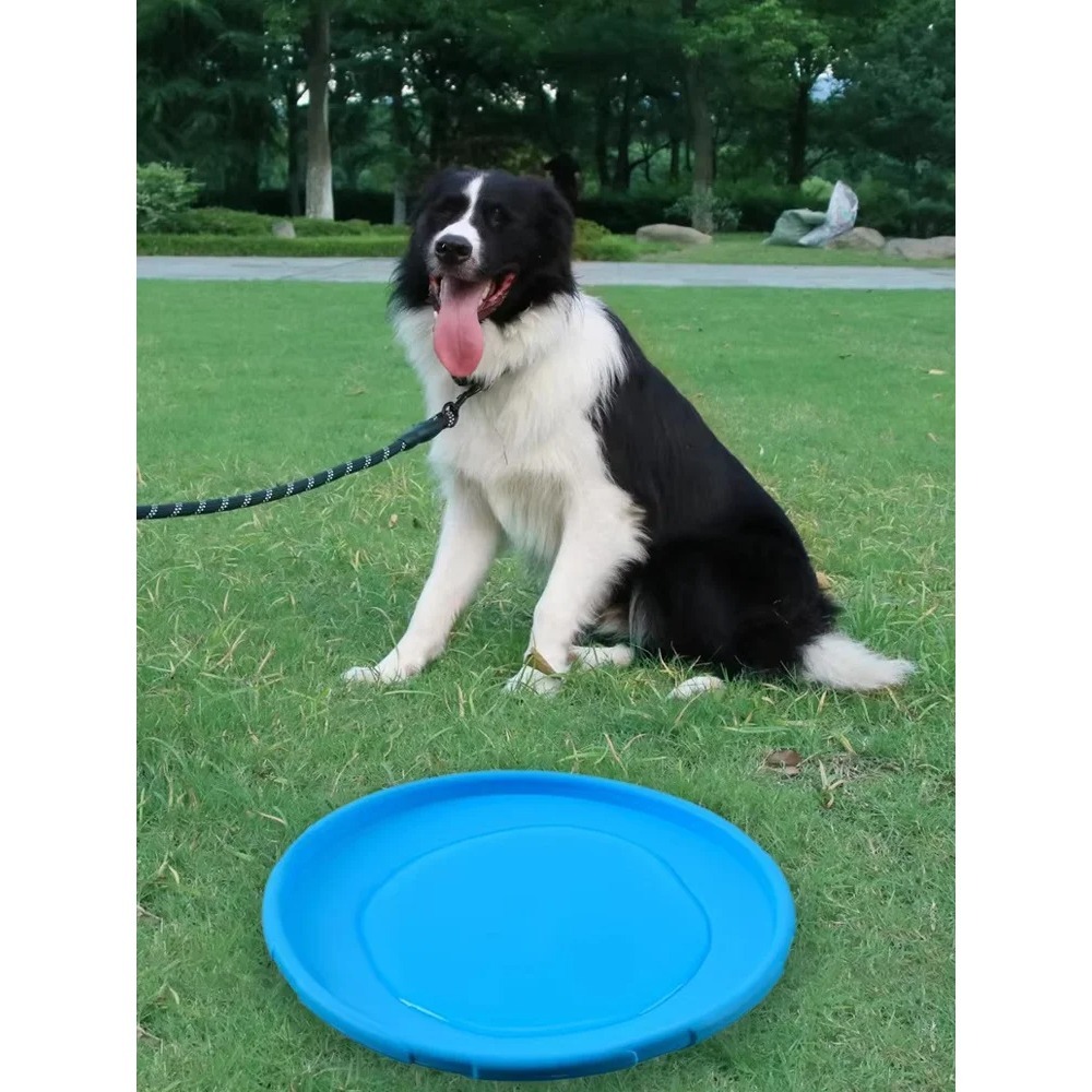 Köpekler için TPR Evcil Hayvan - Flying Disc Dog Training Toy incelemesi ve fiyatı
