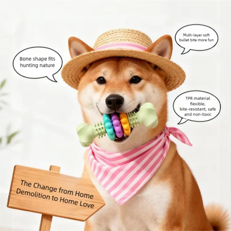 Dayanıklı TPR Köpek Çiğneme Oy - Teeth Cleaning Dog Chew Bone incelemesi ve fiyatı