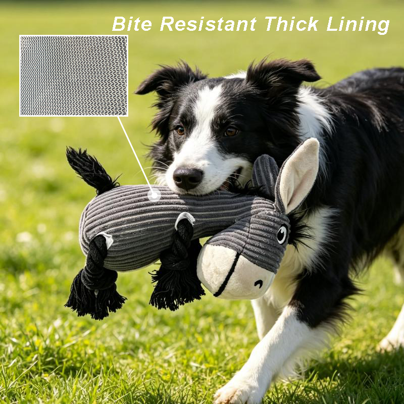Evcil Evcil Hayvanlar İçin, Eş - Indestructible Dog Chew Toy incelemesi ve fiyatı