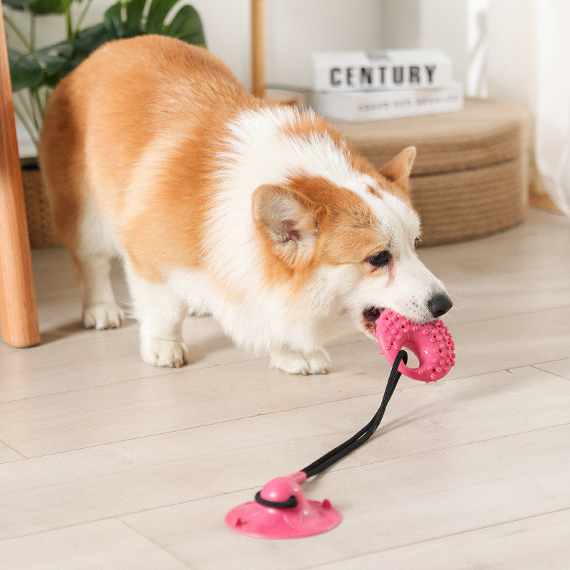 Köpek Oyuncakları Silikon Vant - Suction Cup Dog Tug Toy incelemesi ve fiyatı