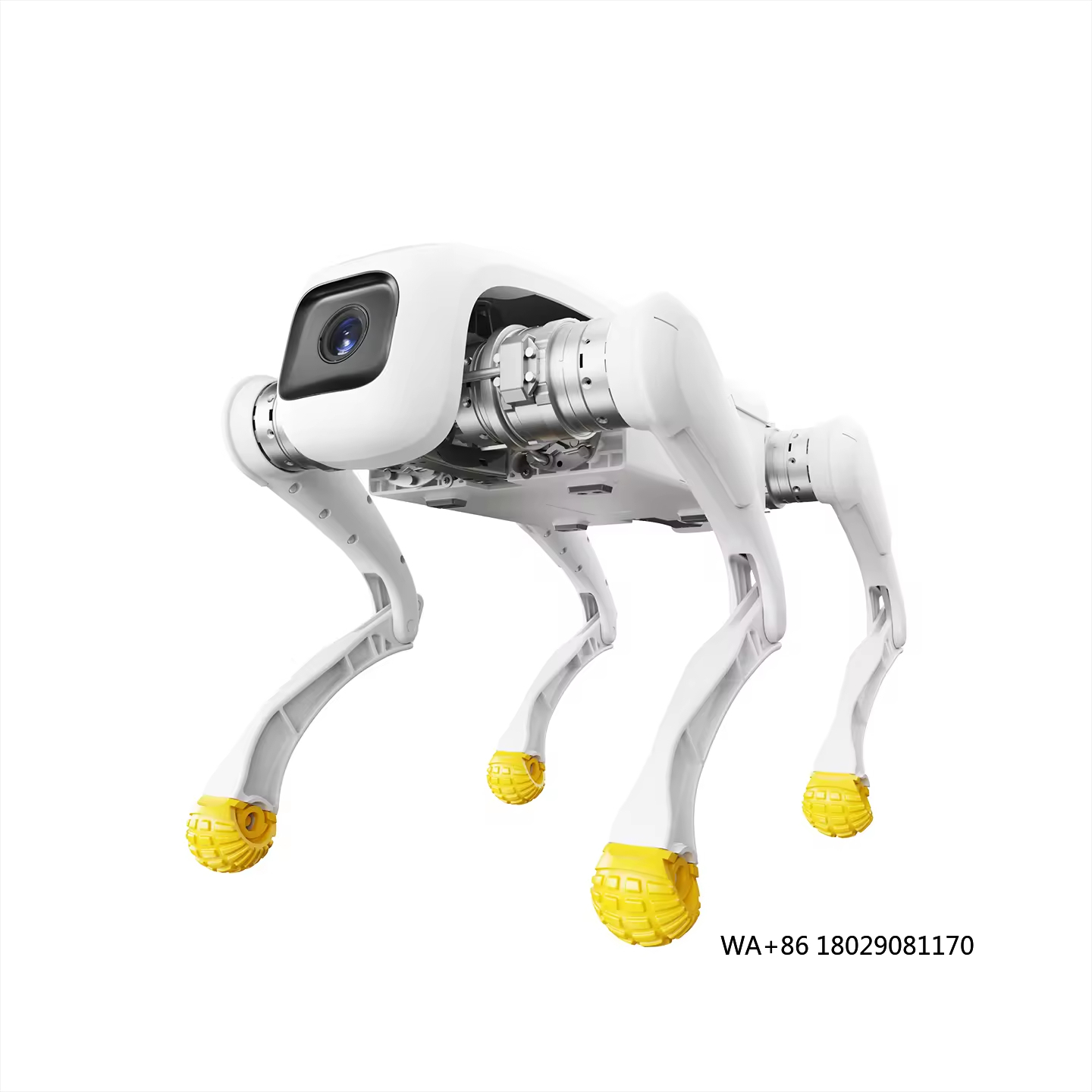Metal Yapılı, Uygulama Kontrol - Dog Toys incelemesi ve fiyatı