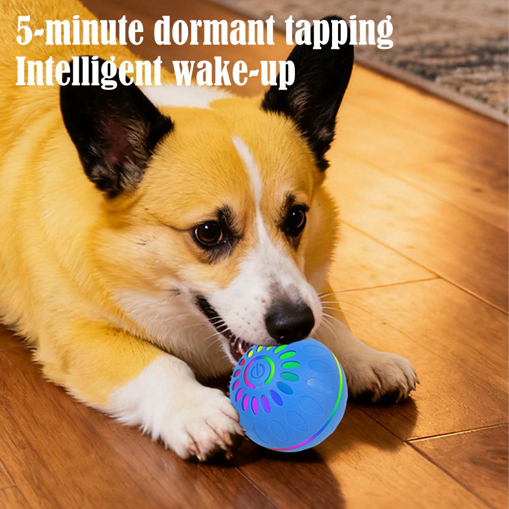 Akıllı Köpek Oyuncak Topu Otom - Automatic Moving Dog Ball incelemesi ve fiyatı