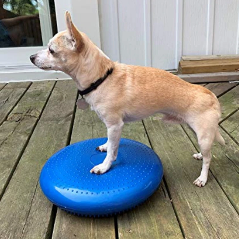 Köpekler eğitim yardımları den - Flying Disc Dog Training Toy incelemesi ve fiyatı