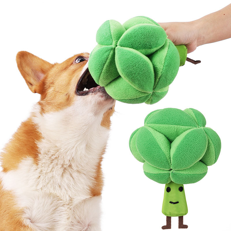Snuffle Broccoli Köpek Bulmaca - Dog Puzzle Feeder Toy incelemesi ve fiyatı