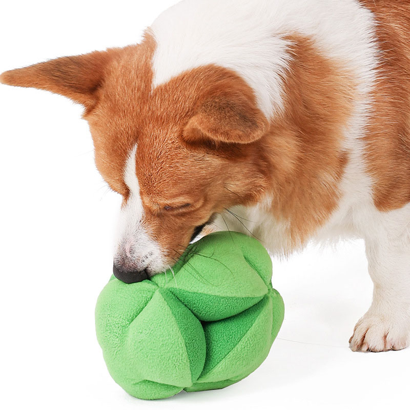 Snuffle Broccoli Köpek Bulmaca - Dog Puzzle Feeder Toy incelemesi ve fiyatı