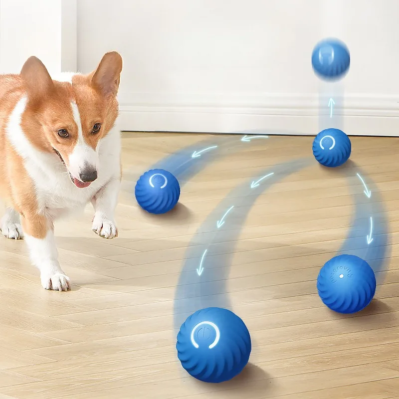 SS Evcil Hayvan Oyuncak Topu,  - Automatic Moving Dog Ball incelemesi ve fiyatı