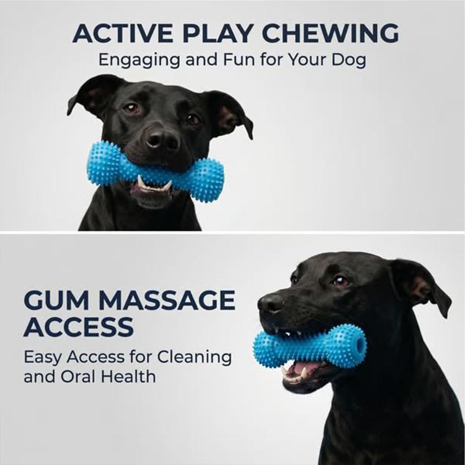 Köpekler İçin Diş Fırçalama Oy - Interactive Squeaky Plush Dog Toy incelemesi ve fiyatı