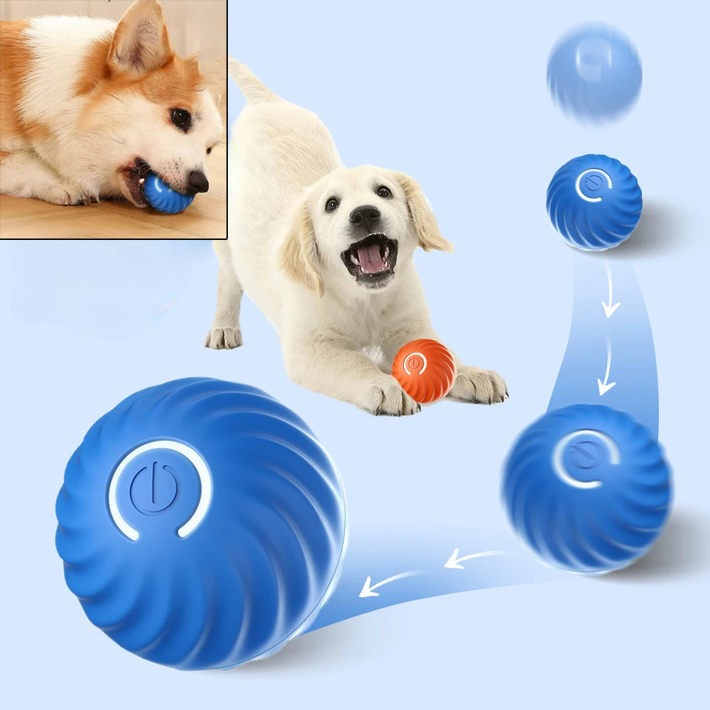 Köpek Oyuncak Topu Otomatik Ha - Suction Cup Dog Tug Toy incelemesi ve fiyatı