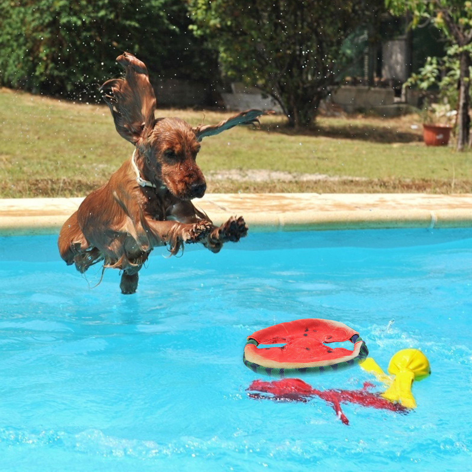 1 Adet Evcil Hayvanlar İçin Si - Flying Disc Dog Training Toy incelemesi ve fiyatı