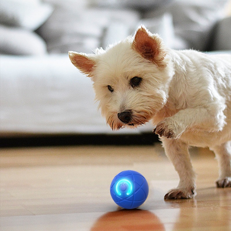 Akıllı Köpek Oyuncak Top USB O - Automatic Moving Dog Ball incelemesi ve fiyatı