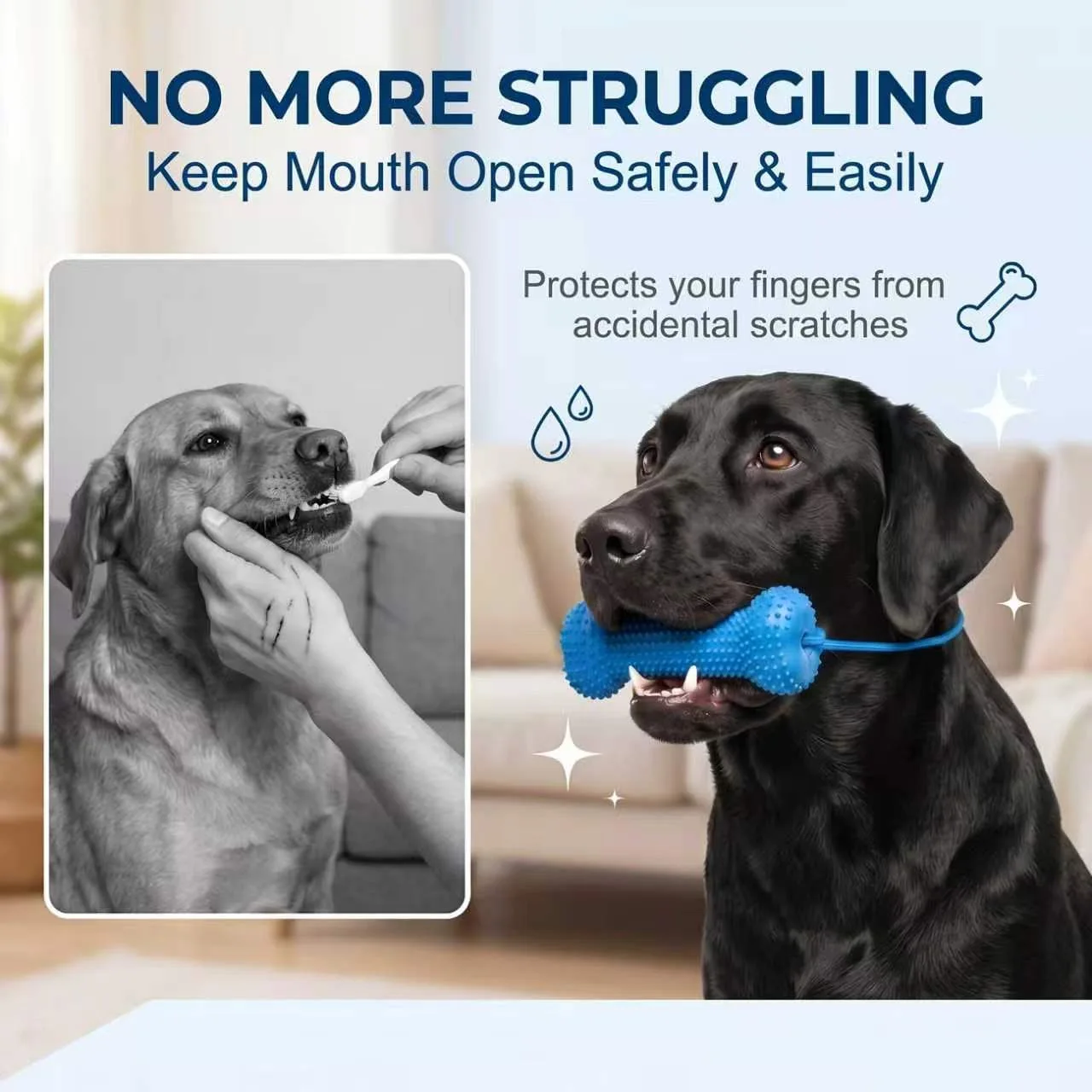 Yeniden Kullanılabilir Köpek O - Teeth Cleaning Dog Chew Bone incelemesi ve fiyatı
