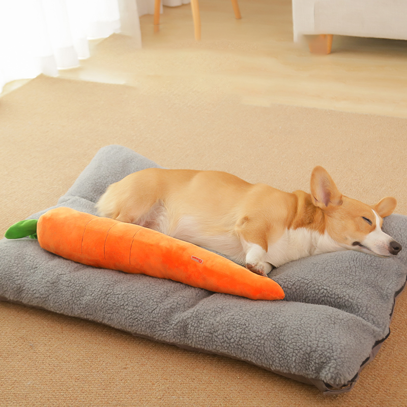HOOPET Köpek Oyuncak Pet Havuç - Indestructible Dog Chew Toy incelemesi ve fiyatı