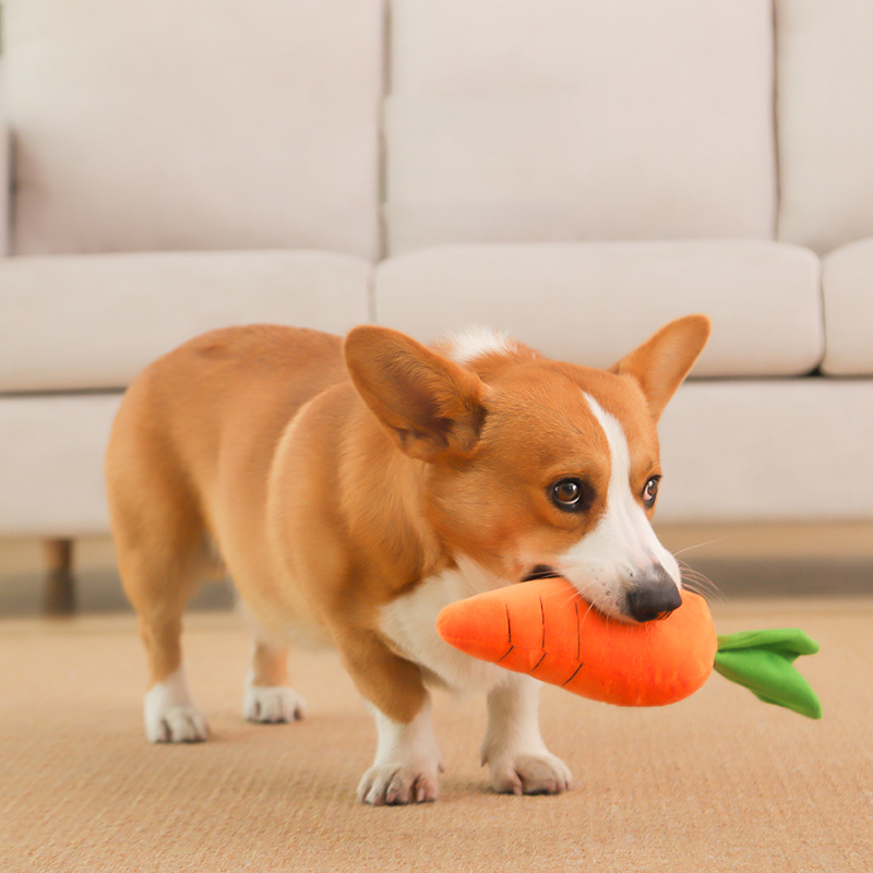 HOOPET Köpek Oyuncak Pet Havuç - Indestructible Dog Chew Toy incelemesi ve fiyatı
