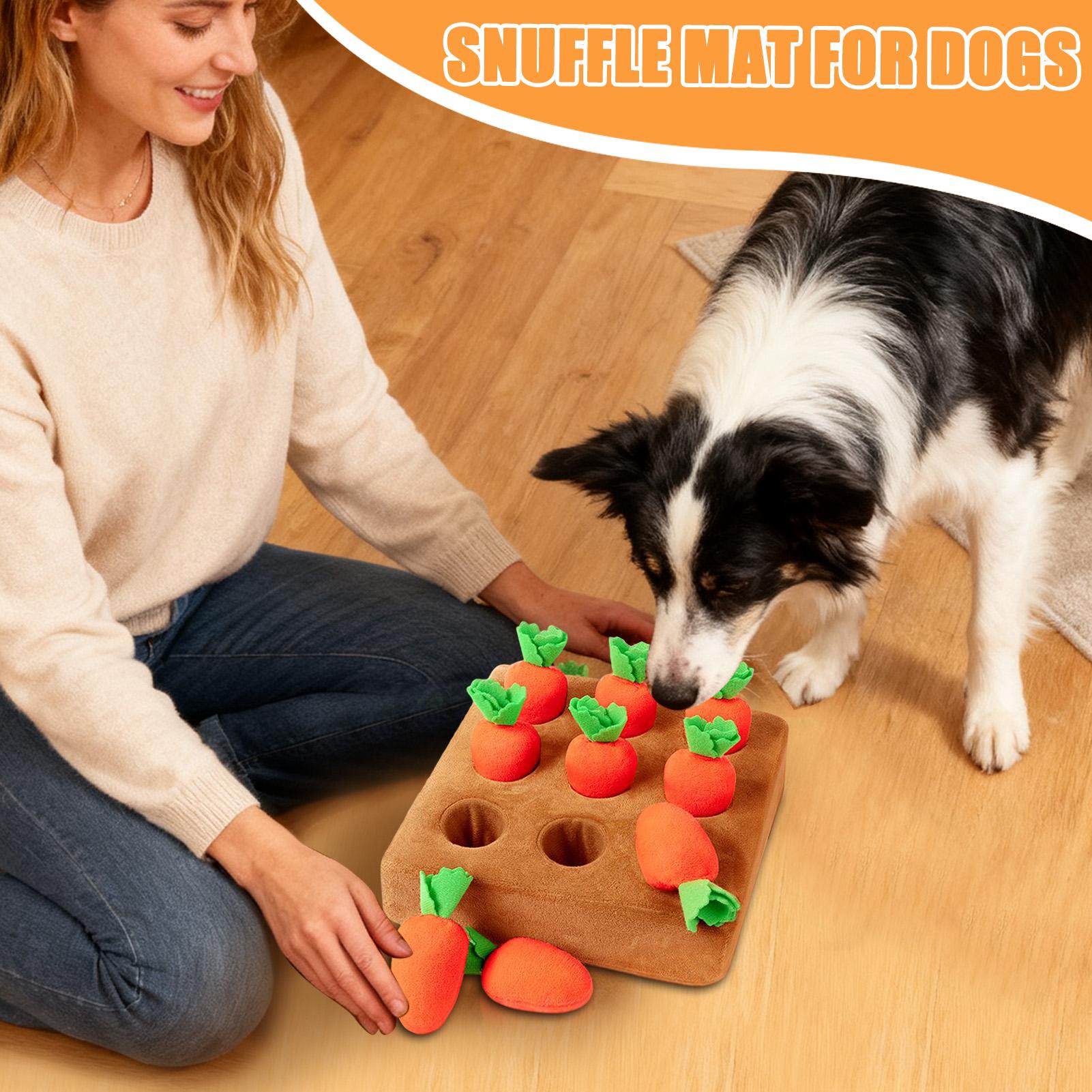 Evcil Hayvanlar İçin Etkileşim - Snuffle Mat For Dogs incelemesi ve fiyatı