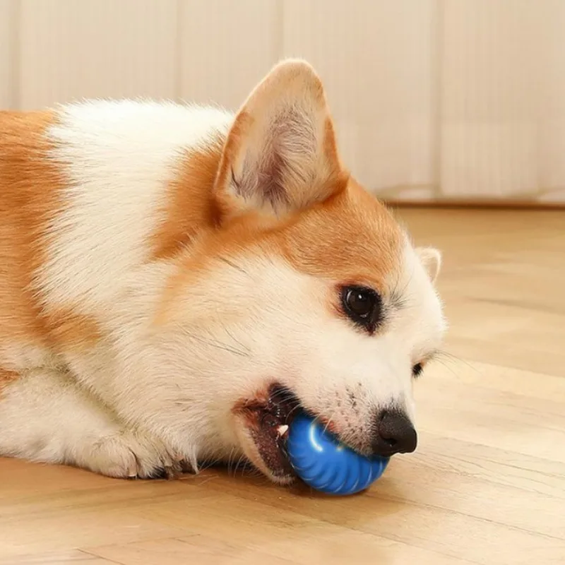 @1G-Evcil Hayvan Oyuncak Topu, - Automatic Moving Dog Ball incelemesi ve fiyatı