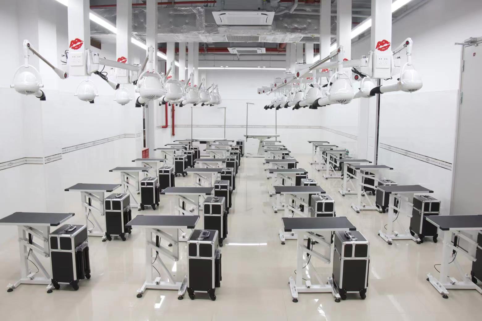 2026 Paslanmaz Çelik Kedi Köpe - Pet Grooming incelemesi ve fiyatı