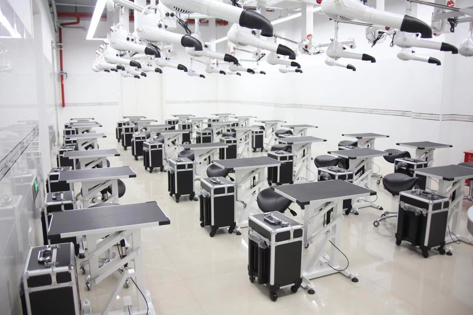 2026 Paslanmaz Çelik Kedi Köpe - Pet Grooming incelemesi ve fiyatı