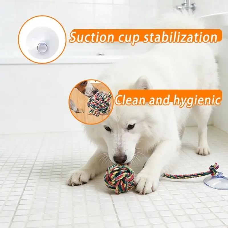 Eğlenceli Güvenli Köpek Çiğnem - Suction Cup Dog Tug Toy incelemesi ve fiyatı