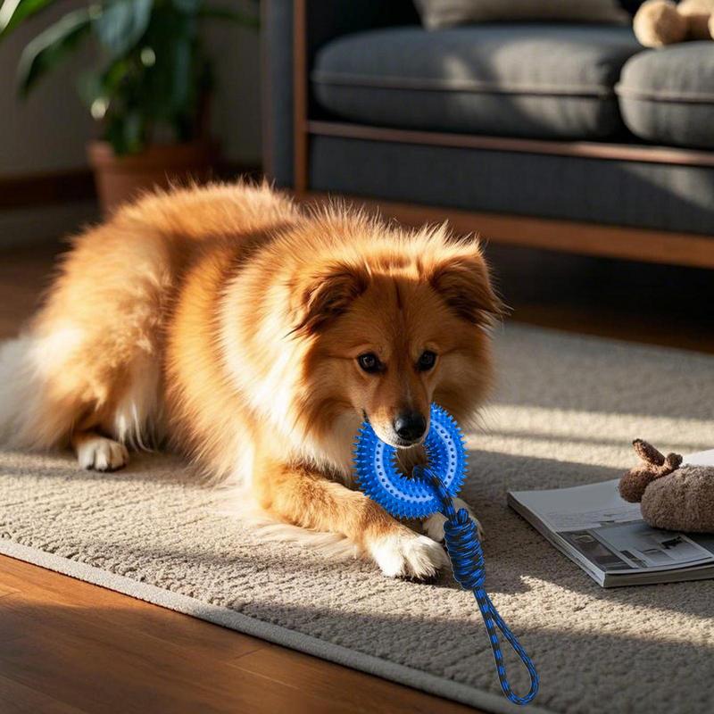 Köpekler için gıcırtılı oyunca - Dog Rope Toy Aggressive Chewers incelemesi ve fiyatı