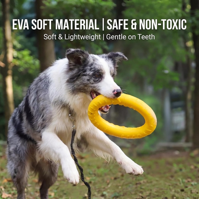 Köpek Oyuncakları Evcil Hayvan - Flying Disc Dog Training Toy incelemesi ve fiyatı