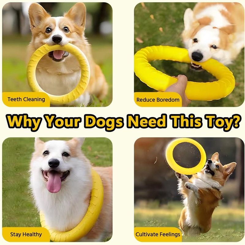 Köpek Oyuncakları Evcil Hayvan - Flying Disc Dog Training Toy incelemesi ve fiyatı