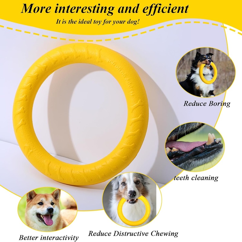 Köpek Oyuncakları Evcil Hayvan - Flying Disc Dog Training Toy incelemesi ve fiyatı