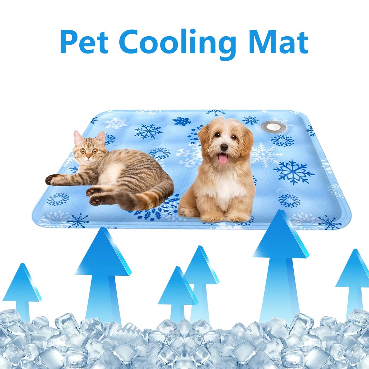 Yazlık Evcil Hayvan Matı, Evci - Pet Beds incelemesi ve fiyatı