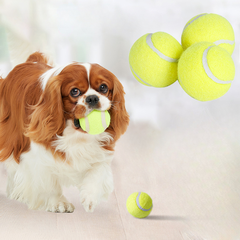 İnteraktif Çizgili Kauçuk Teni - Interactive Squeaky Plush Dog Toy incelemesi ve fiyatı