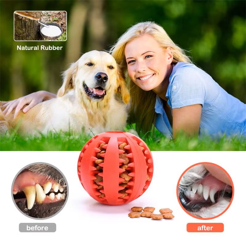 Köpekler ve Kediler için Etkil - Dog Puzzle Feeder Toy incelemesi ve fiyatı