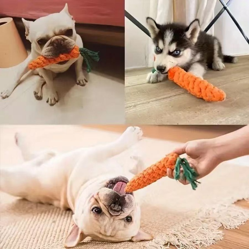 Köpek Çiğneme Oyuncağı Havuç D - Interactive Squeaky Plush Dog Toy incelemesi ve fiyatı