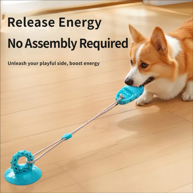 Vakumlu Köpek Çekme Oyuncağı İ - Suction Cup Dog Tug Toy incelemesi ve fiyatı